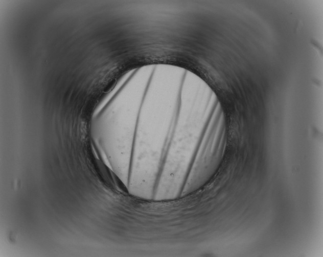 X0000091000025200708241500