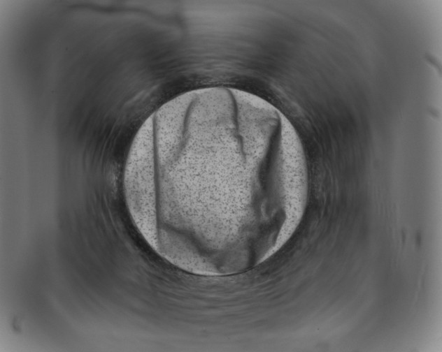 X0000091000026200708241500