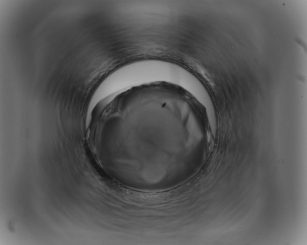 X0000091000027200708241500