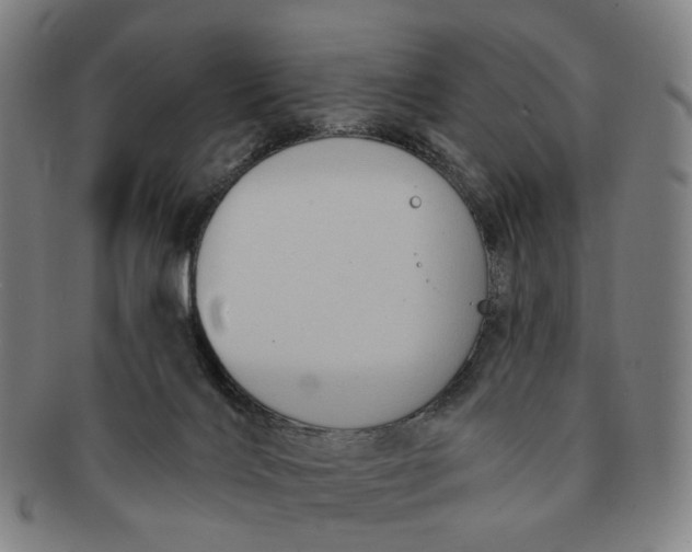 X0000091000028200708241500