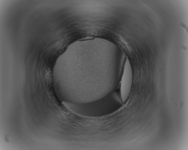 X0000091000029200708241500