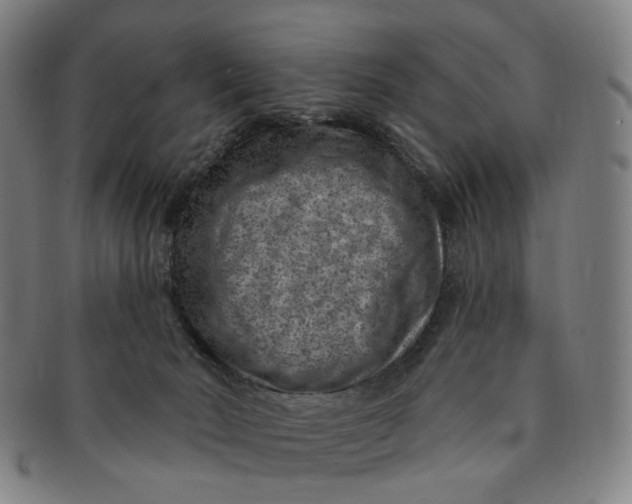 X0000091000030200708241500