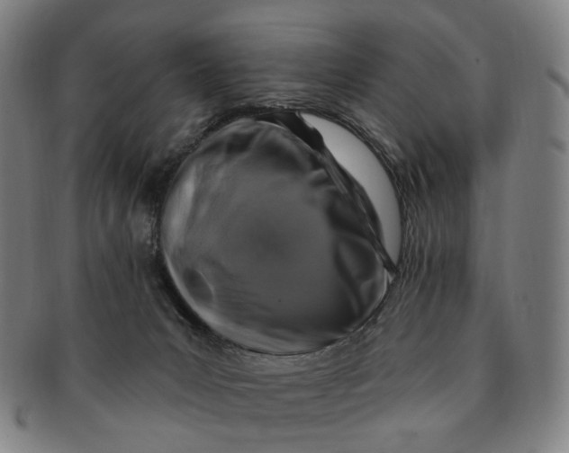 X0000091000031200708241500