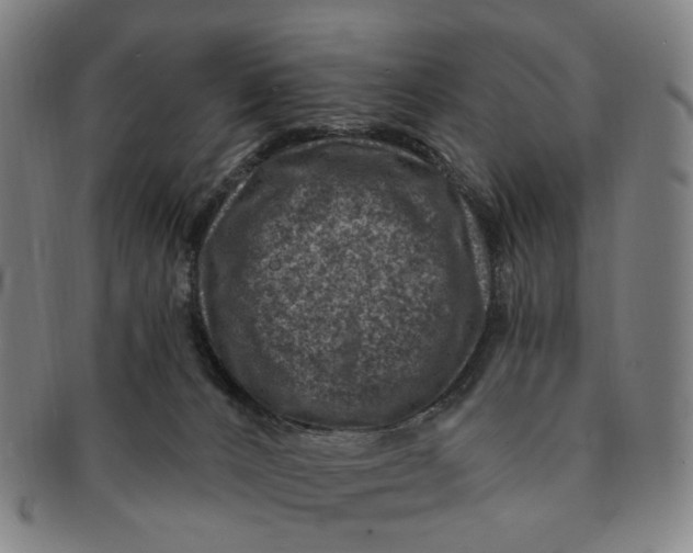 X0000091000032200708241500