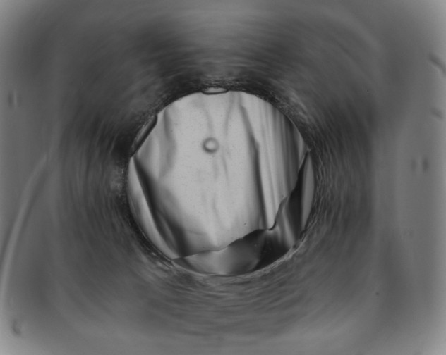 X0000091000033200708241500