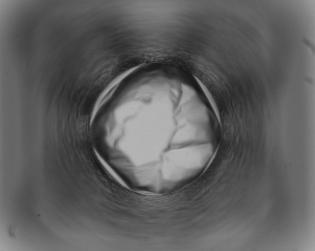 X0000091000034200708241500