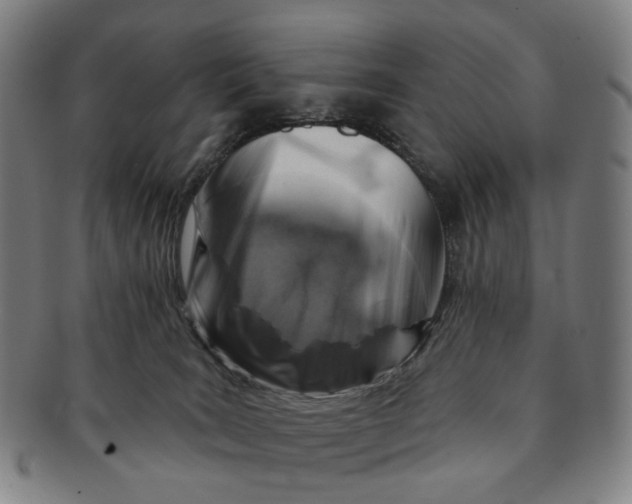 X0000091000035200708241500