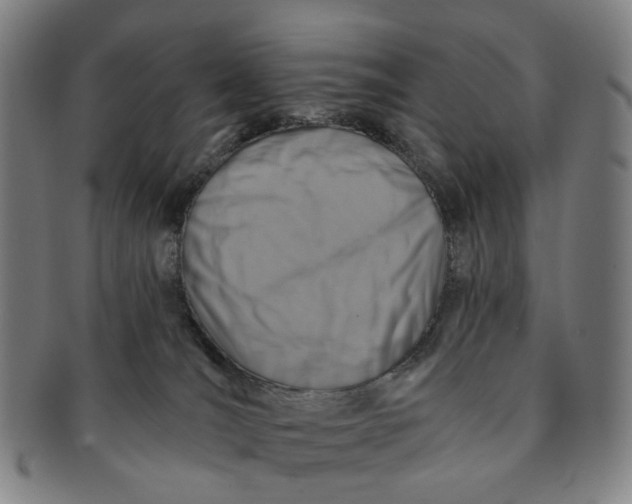 X0000091000036200708241500