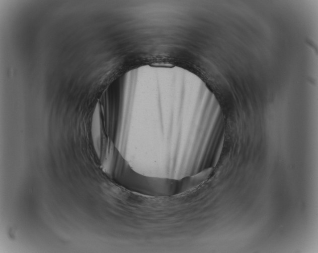 X0000091000037200708241500