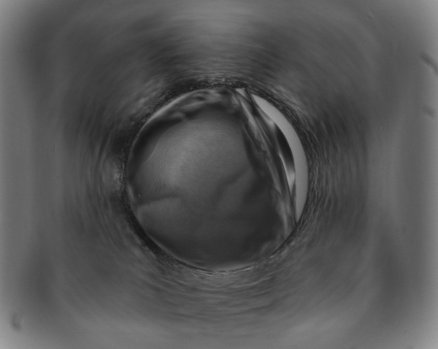 X0000091000039200708241500