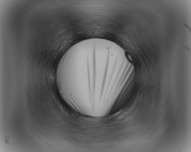 X0000091000040200708241500