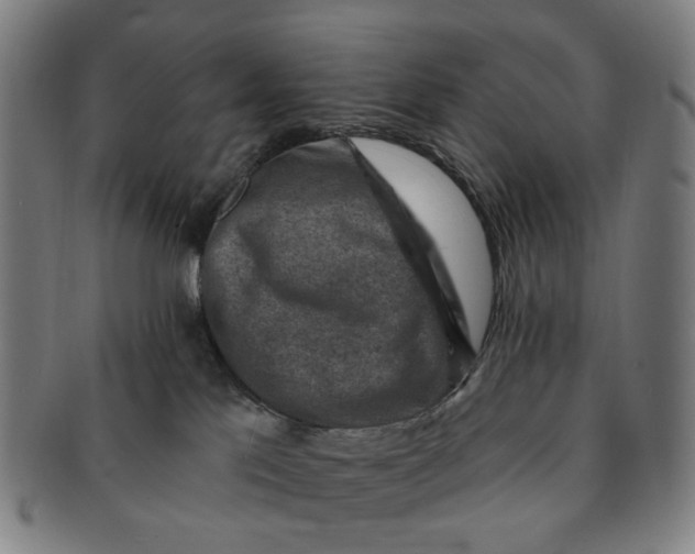 X0000091000041200708241500