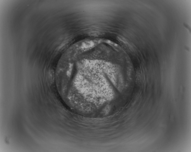 X0000091000043200708241500