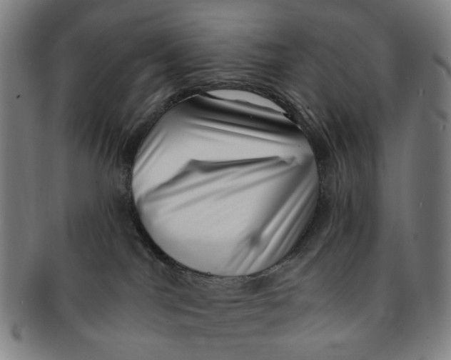 X0000091000044200708241500