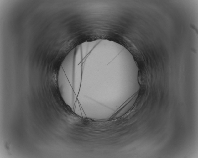 X0000091000045200708241500