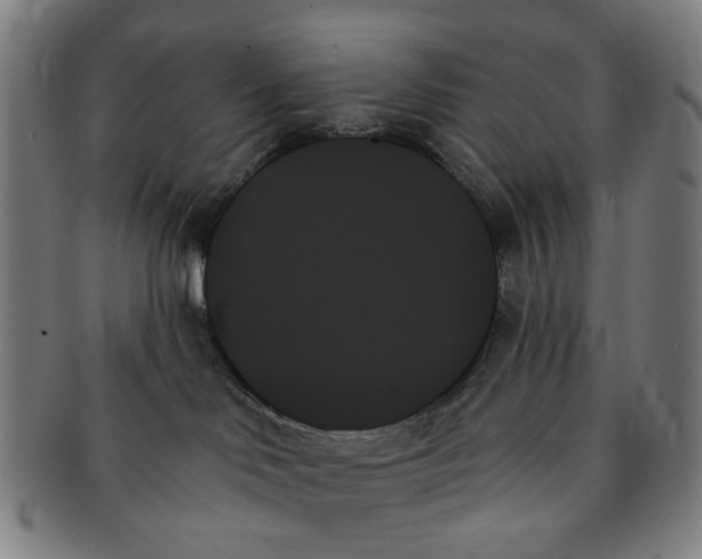 X0000091000046200708241500