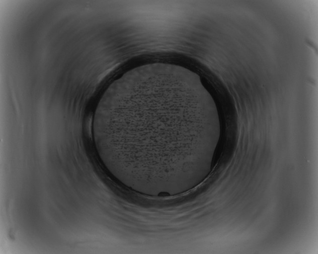 X0000091000047200708241500