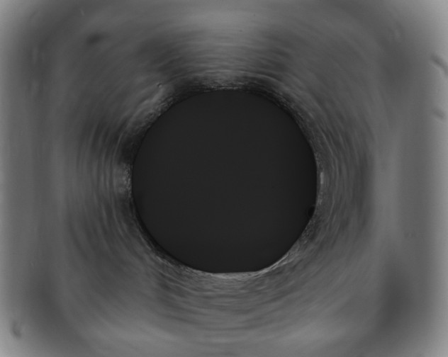 X0000091000048200708241500