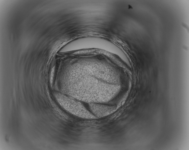 X0000091000049200708241459