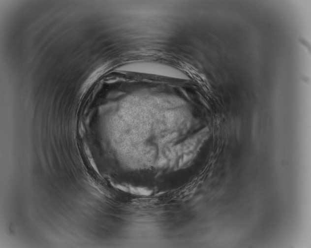 X0000091000051200708241459