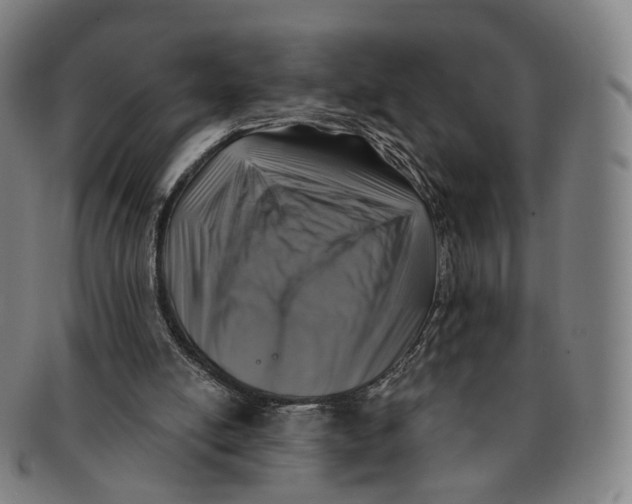 X0000091000054200708241459