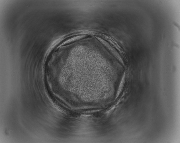 X0000091000055200708241459