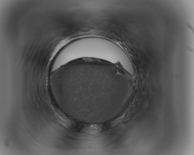 X0000091000056200708241459