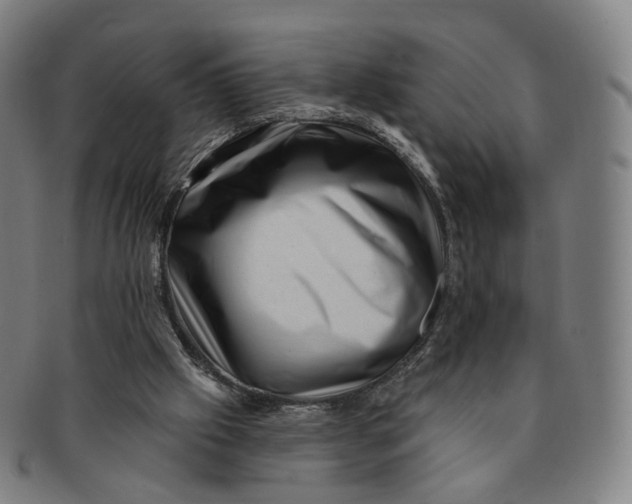 X0000091000057200708241459