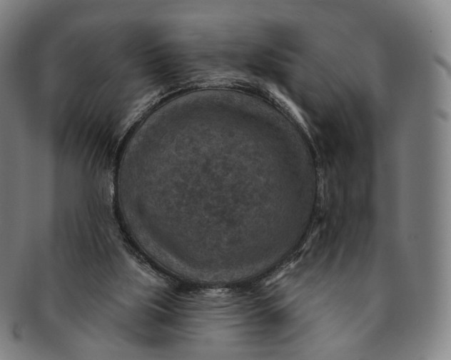 X0000091000059200708241459