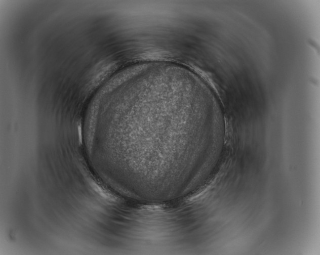 X0000091000061200708241459