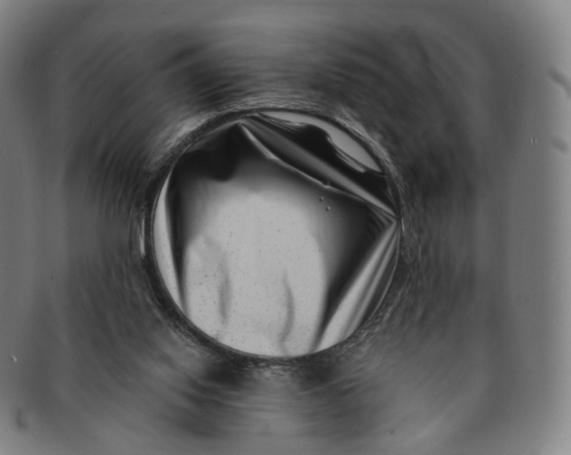 X0000091000062200708241459