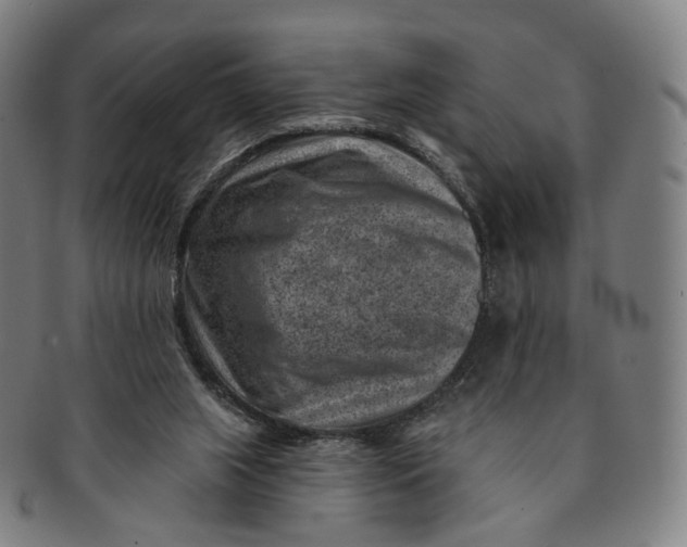 X0000091000063200708241459