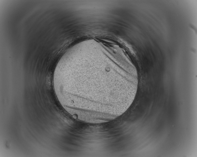 X0000091000065200708241459