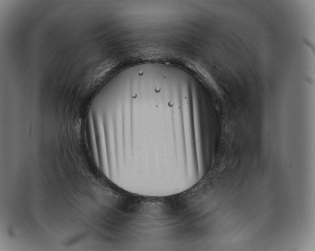 X0000091000066200708241459