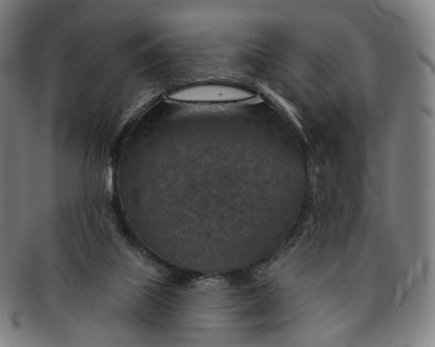 X0000091000067200708241459