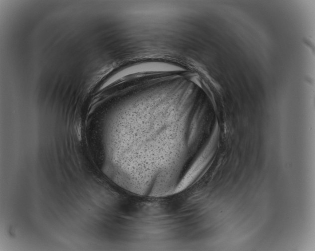 X0000091000068200708241459