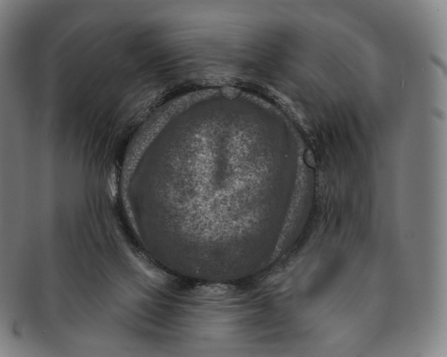 X0000091000069200708241459