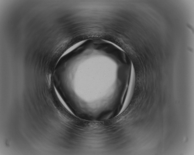 X0000091000070200708241459