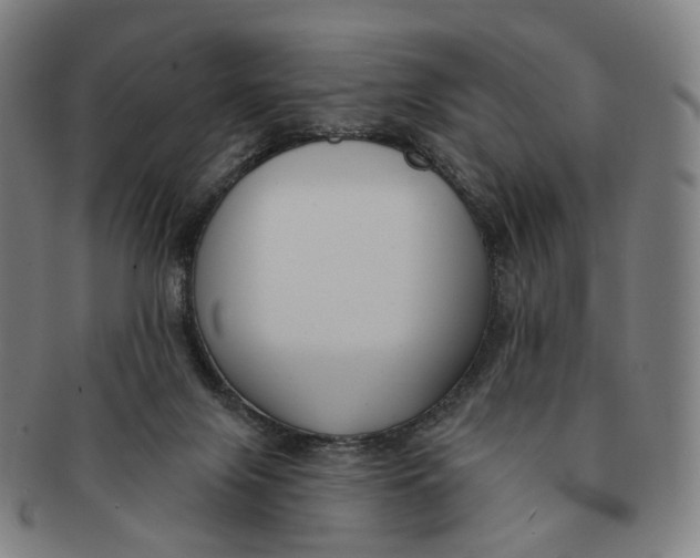 X0000091000071200708241459