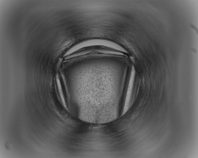 X0000091000072200708241459