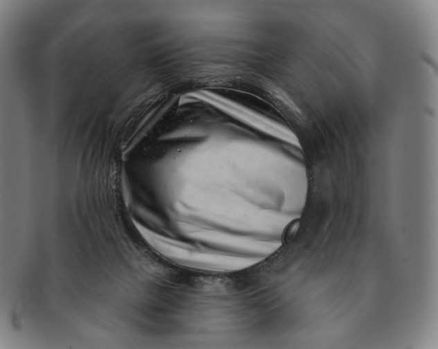 X0000091000073200708241459