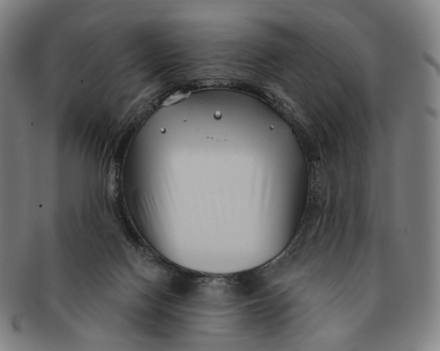 X0000091000074200708241459