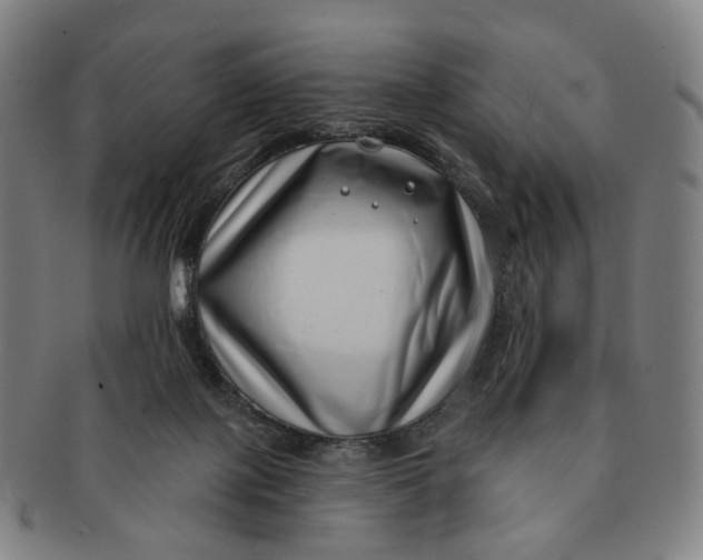 X0000091000075200708241459