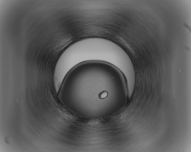 X0000091000076200708241459