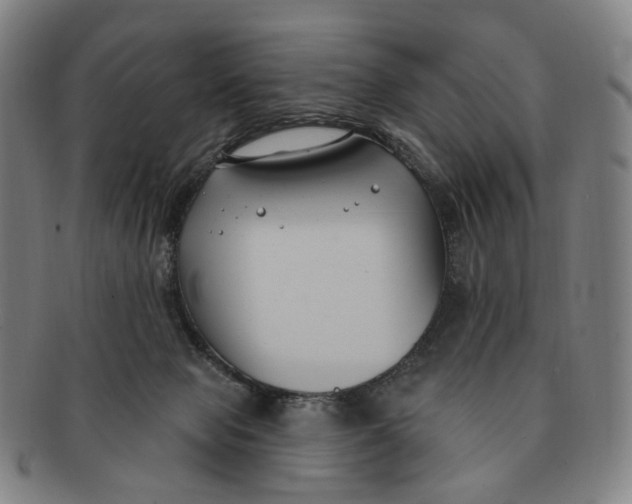 X0000091000077200708241459