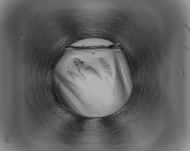 X0000091000078200708241459