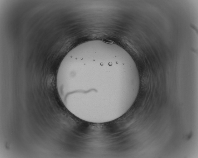 X0000091000079200708241459