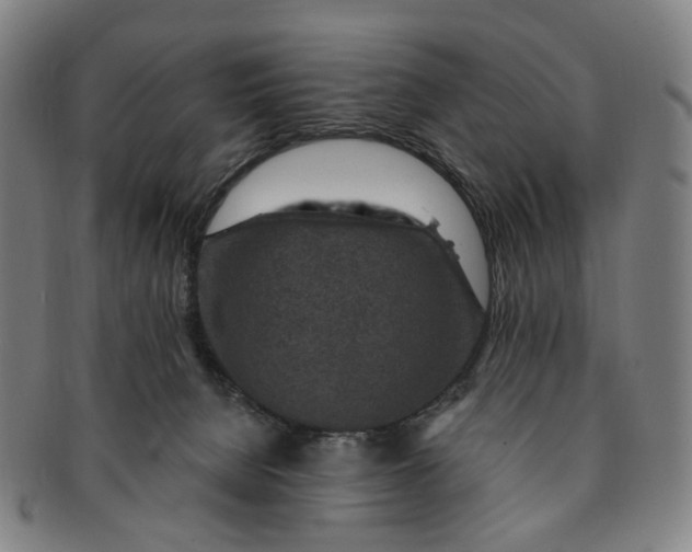 X0000091000080200708241459