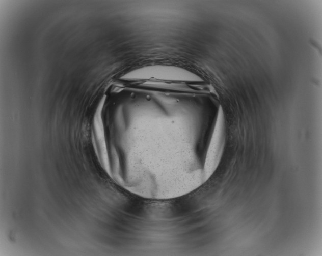 X0000091000081200708241459