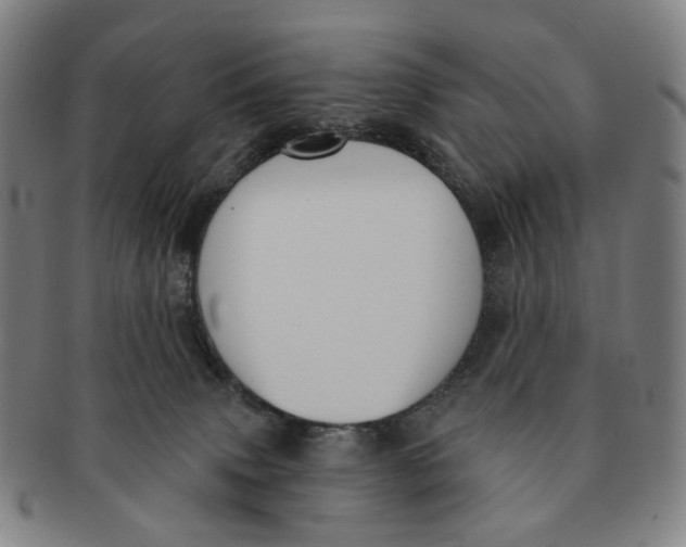 X0000091000083200708241459